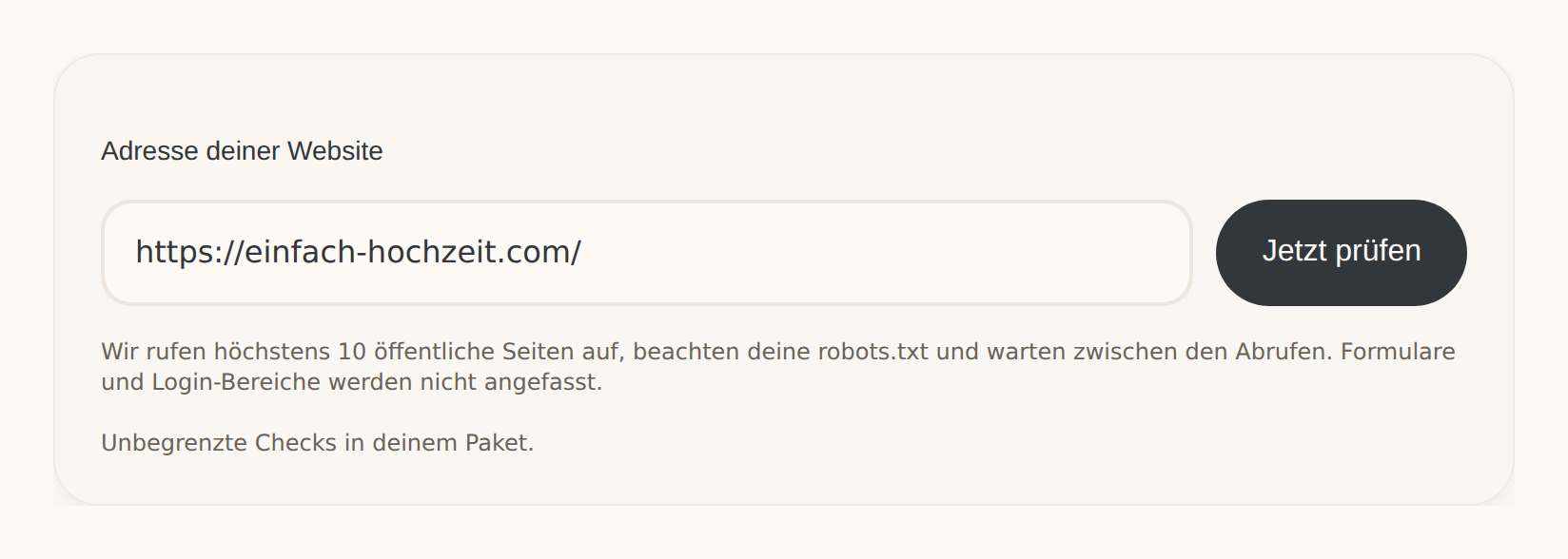 Startformular des Sichtbarkeits-Checks: Adresse der Website eingeben und prüfen